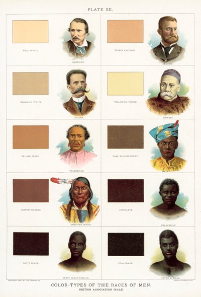 Color-Types of the Races of Men, British Association scale by American School